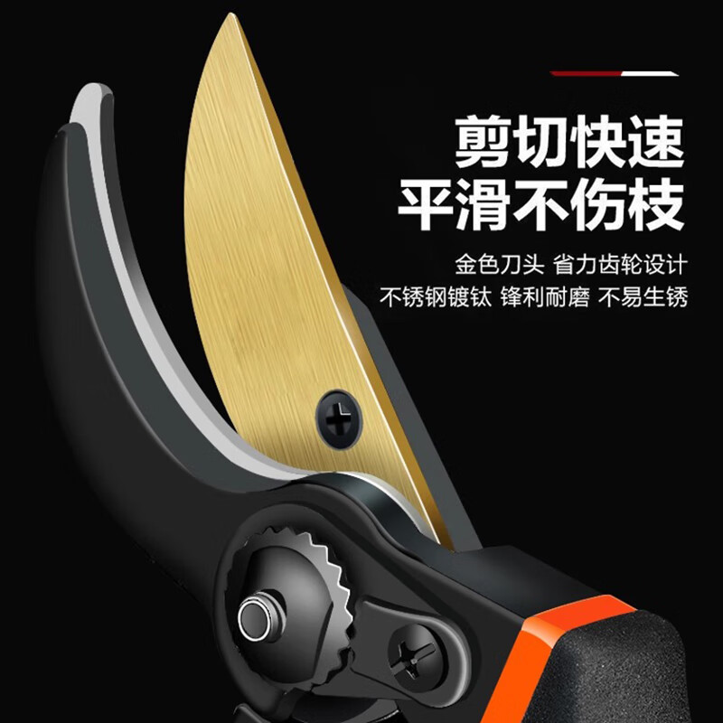 Pruning shears, gardening scissors, special scissors for cutting branches, garden pruning, fruit tree pruning, flower pruning shears A, anti-rust K5 blade)