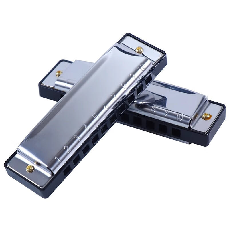 Harmonica, wind instrument, beginner gift, student self-taught professional playing gift for children, 10 holes, beginner harmonica 10 holes