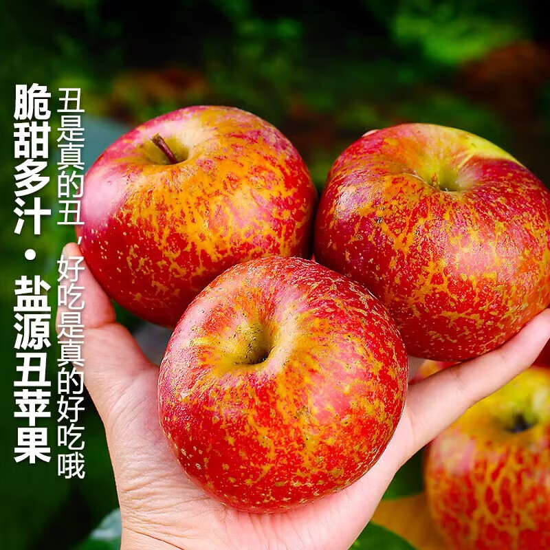 Jingmi Sichuan Daliangshan Ugly Apple, 8 pounds net, single fruit 85mm+, fresh fruit rock candy heart apple, straight from the source