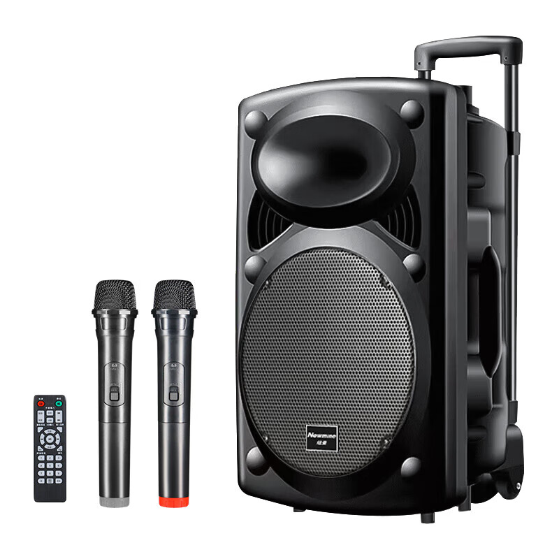 Newman B12 square dance audio 12-inch outdoor karaoke subwoofer Bluetooth audio portable mobile stage trolley speaker amplifier high-power subwoofer B12 40W standard version + dual microphones