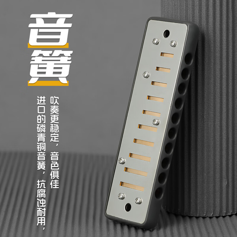 BoogieMAN Yuanyuan's same model ProReeds ten-hole harmonica paddy blues for adults and children beginners