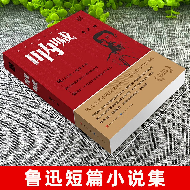 Scream People's Literature Publishing House Lu Xun's original authentic version