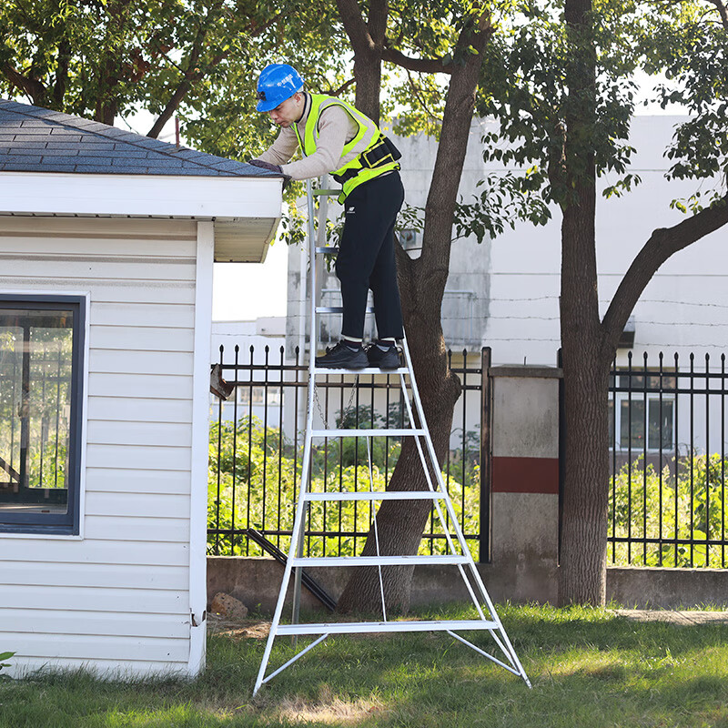 Zhongchuang aluminum alloy ladder orchard ladder tripod ladder orchard picking ladder garden work ladder garden fruit tree pruning 98010 (ten step ladder height 3m)