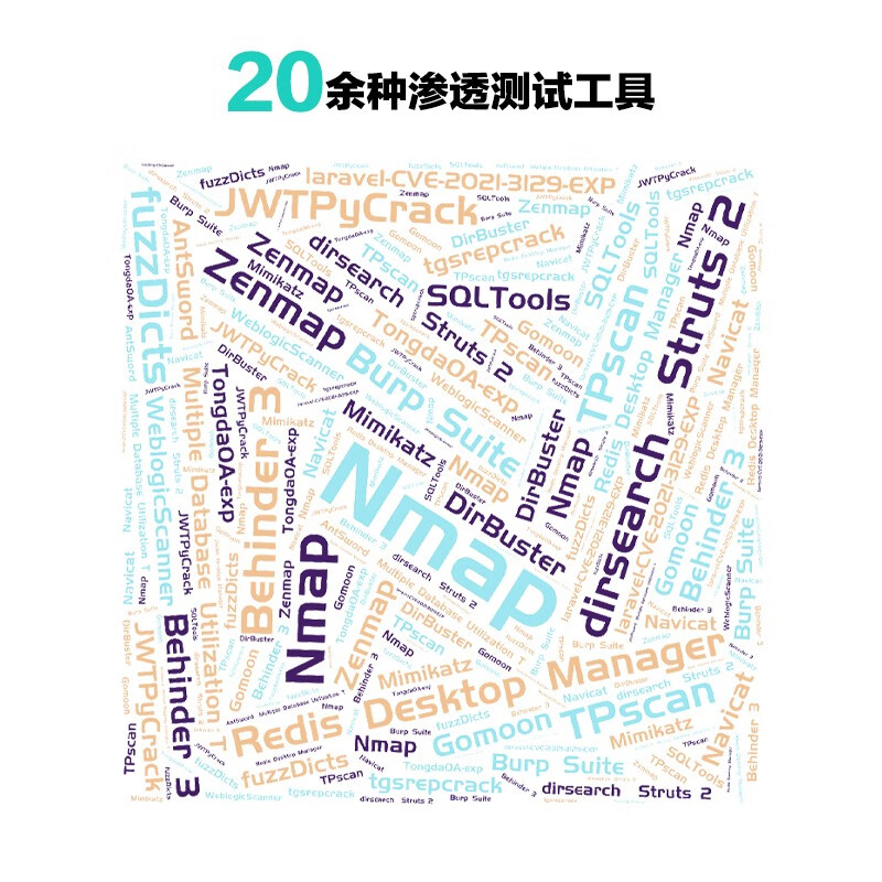 Practical strategy for intranet penetration