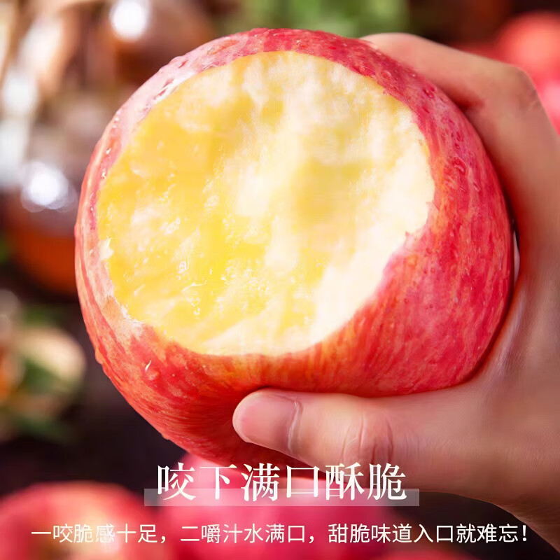 Jingdida Apple Yantai Apple Red Fuji Apple Fresh Fruit New Year Gift 8.5 Jin Single Fruit 80mm+ Straight from the Source