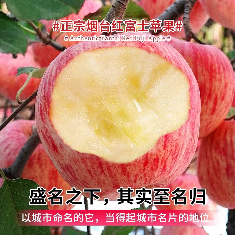 Crisp and sweet red Fuji apples, Shandong Yantai Qixia ugly apples, fresh fruit, whole box, 9-10 catties in box, sweet and medium-sized fruit