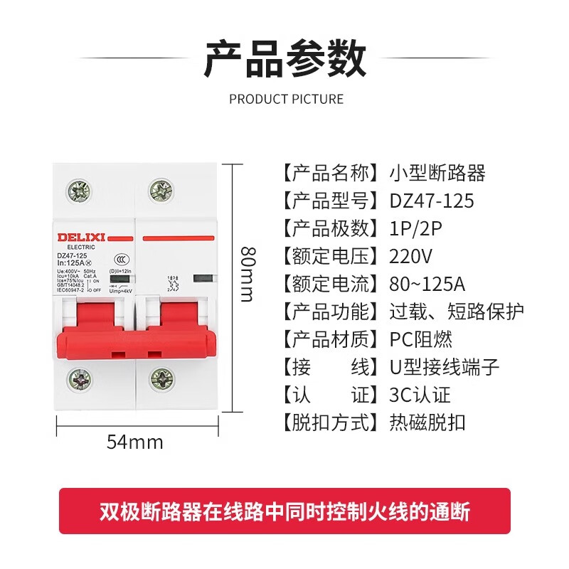 Delixi air switch D type high current dz47 household 2P high power switch 100a circuit breaker 220 100A 2P