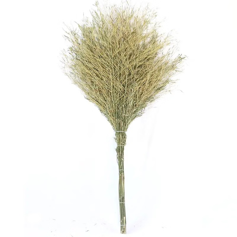 Xianfiya large broom for sweeping the yard, bamboo broom, bamboo broom for outdoor use, sweeping the road, old-fashioned bamboo courtyard industrial sanitation worker, bamboo pole handle, hard branches without leaves, about 4 pounds