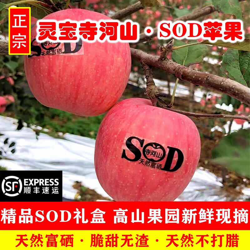Muke Henan Lingbao Apple Temple Heshan natural selenium-rich apple SOD apple red Fuji fresh fruit New Year gift box without sod characters 80-85mm 15 pieces gift box shipped directly from the place of origin with SF Express free shipping