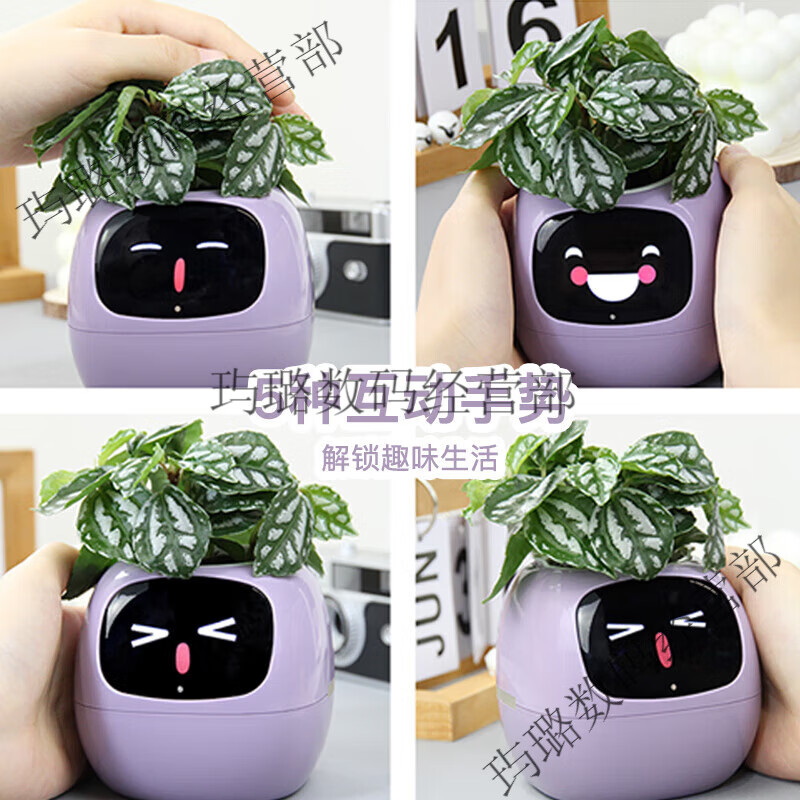 Ivy Emotional Intelligent Plant Cute Pet Intelligent Robot Flower Pot Plant Table with Trendy Ornaments Birthday Gift Lemon Yellow Smart Flower Pot Happy Birthday Gift Set Ghostwritten Oil Painting Style Greeting Card