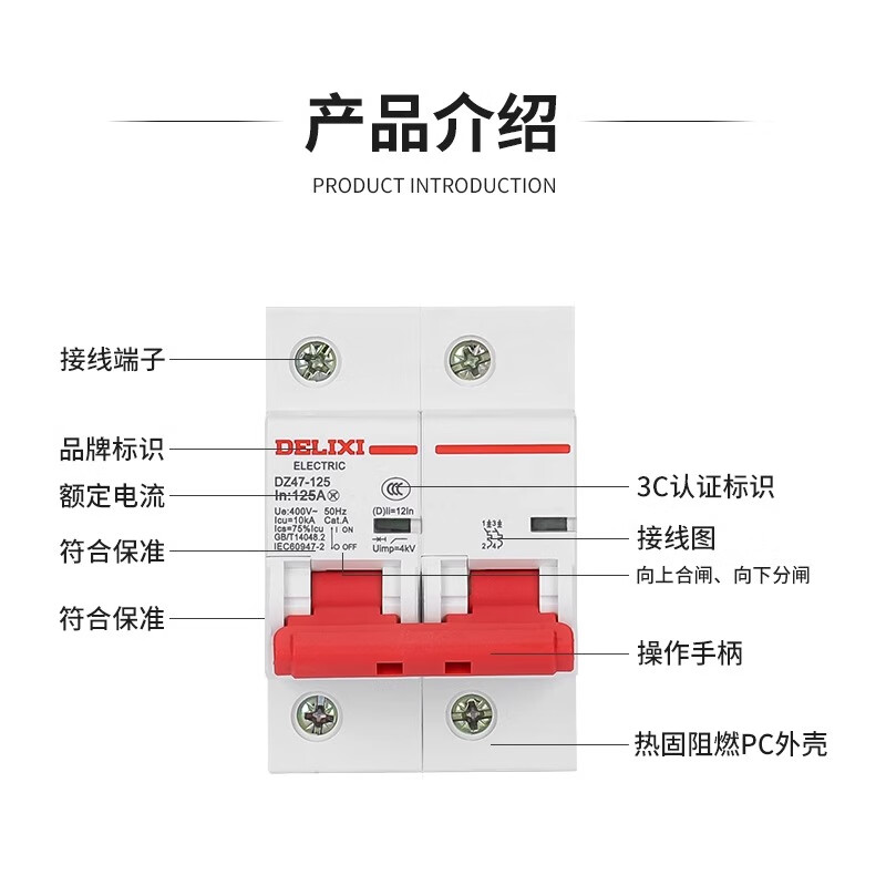Delixi air switch D type high current dz47 household 2P high power switch 100a circuit breaker 220 100A 2P
