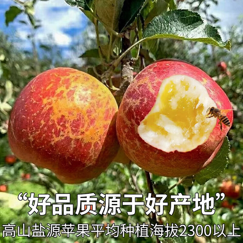 Yunnan Plateau Red Dew Apple Seasonal Fruit Rock Candy Heart-Ugly Apple Light Eater Pure Sweet Skin Thin Skin Juicy Free Shipping to Home Contains 3kg Box Medium Fruit
