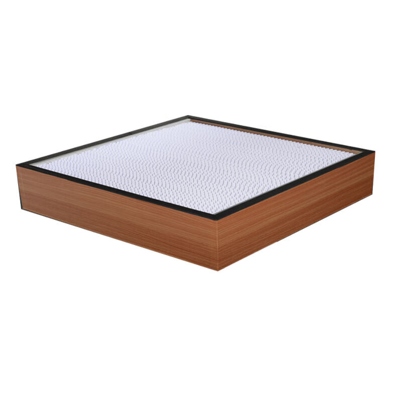 H13 partitioned high-efficiency filter aluminum frame dust-free workshop air filter ceiling air outlet filter 484*484*220mm