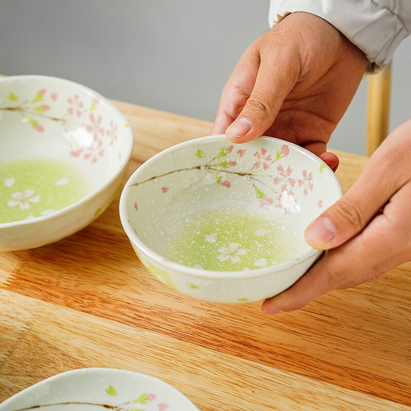 Mino Yaki Japan imported household ceramic bowl set simple dinner plate Japanese tableware fruit plate dish 10-piece set