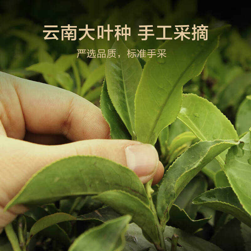 Made in Tokyo, Pu'er ripe tea 150g cake, 2017 spring tea, Yunnan Lincang Pu'er tea, self-drinking, gift giving, self-operated