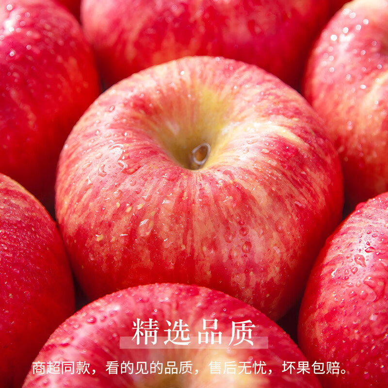 Jingdida Apple Yantai Apple Red Fuji Apple Fresh Fruit New Year Gift 8.5 Jin Single Fruit 80mm+ Straight from the Source