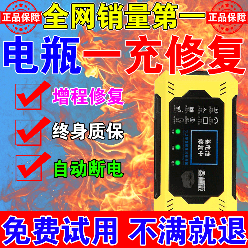 Bull 2025 new electric vehicle battery repairer genuine automatic power-off universal pulse charging battery life activation artifact