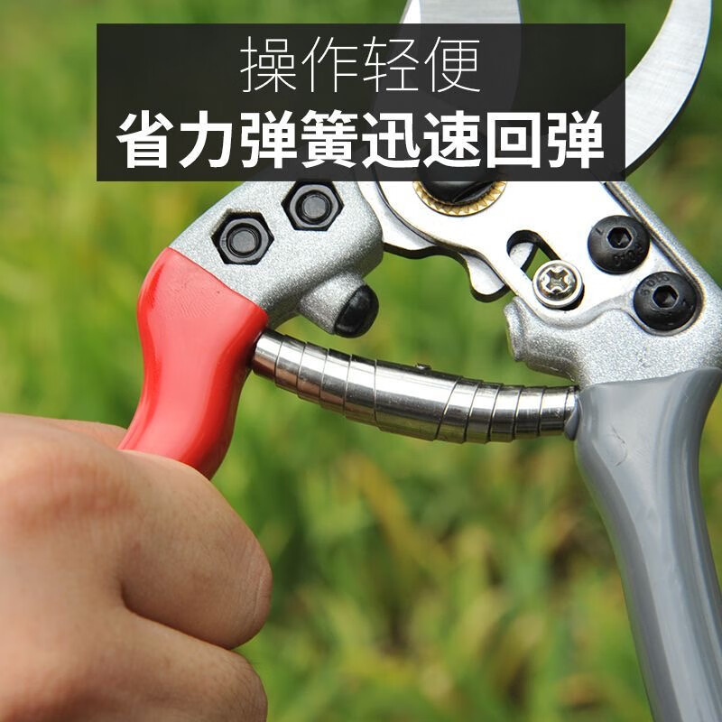 Piers pruning shears imported from Japan SK5 steel scissors for gardening and horticulture, strong flower shears for thick branches of fruit trees, floral scissors V1 - red, gray, white head and white blade - pruning shears
