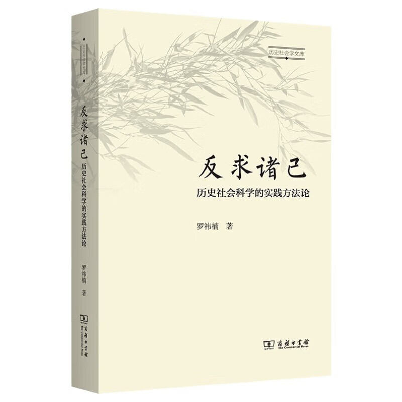 Looking back at others, the practical methodology of historical and social sciences (Historical Sociology Library)