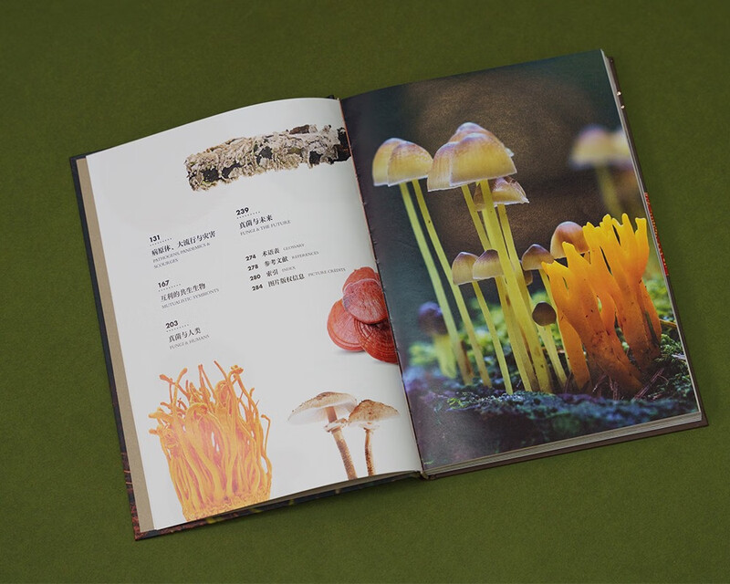 Princeton University Biological Illustrated Fungi (China National Geographic Books, the master of the hidden world, identification of strange organisms. Get close to the hidden fungal family, and perceive the interconnected relationship between life on earth. Free 4 fungi science postcards)