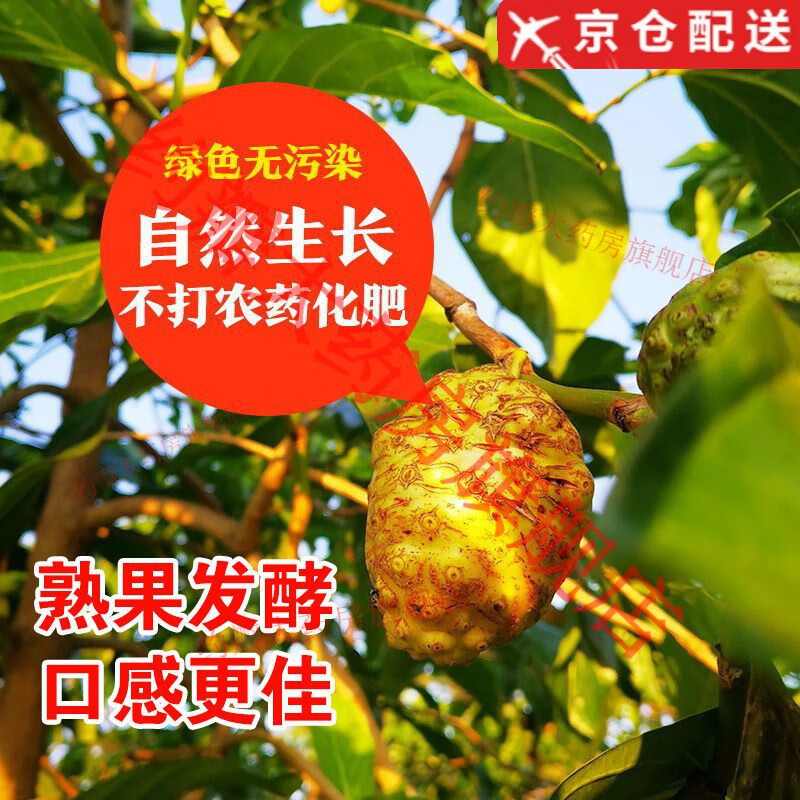 Tongrentang Official Pharmacy Noni Enzyme Original Solution Hainan Noni Fruit Puree Pure Tahitian Noni Juice Fruit and Vegetable 3 Bottles 3000ML