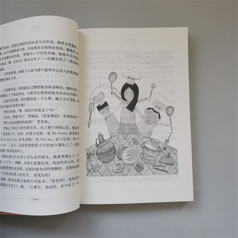 Jia Li and Jia Mei's major series, the complete biography of the girl Jia Mei, the transition from the first to the second grade during the summer vacation, the transition from the primary school to the junior high school during the summer vacation, recommended must-read books during the winter and summer vacations