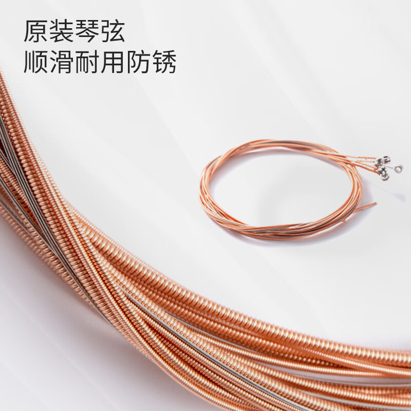 Lovebird Guitar Folk Guitar 40-inch Beginner Beginner's Entry Guitar Black