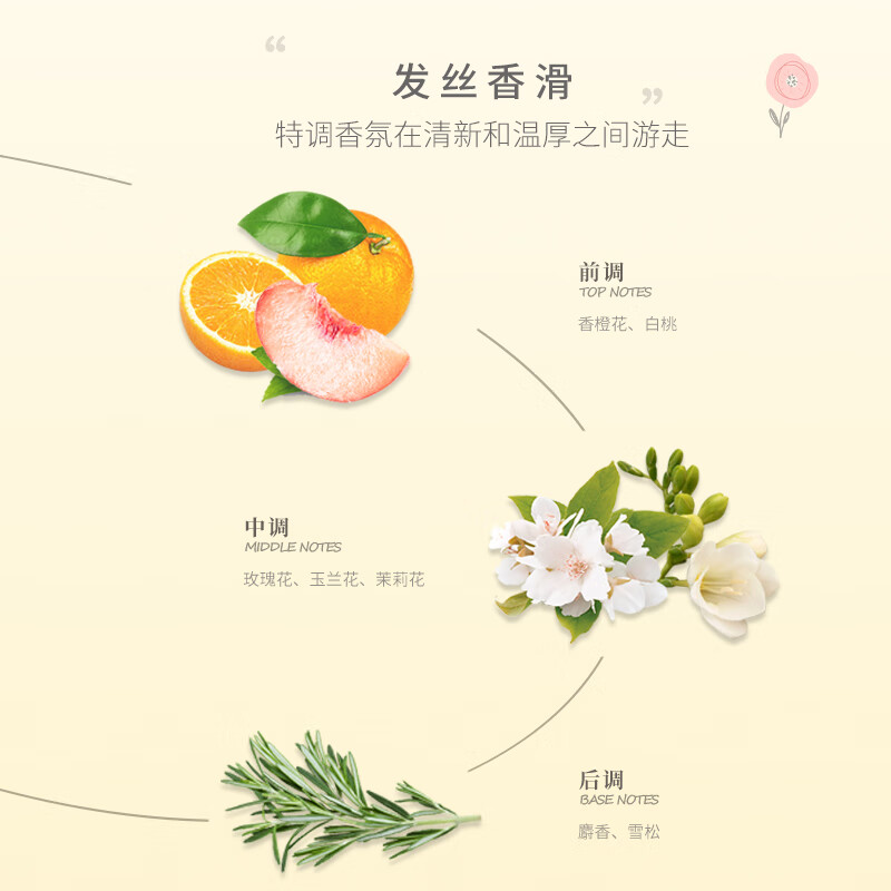 Linken Essential Oil Fluffy Anti-Dandruff Oil Control Shampoo + Smooth Conditioner Fragrant Two-Piece Care Set