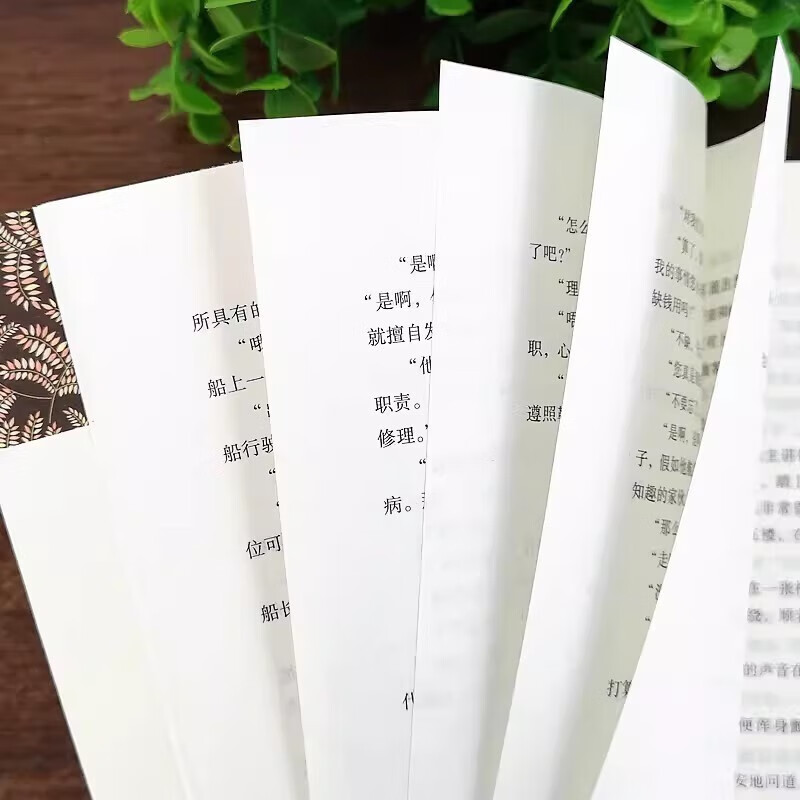 Complete 2 volumes of The Count of Monte Cristo, a complete translation of the original best-selling classic novel for primary and secondary school extracurricular readings