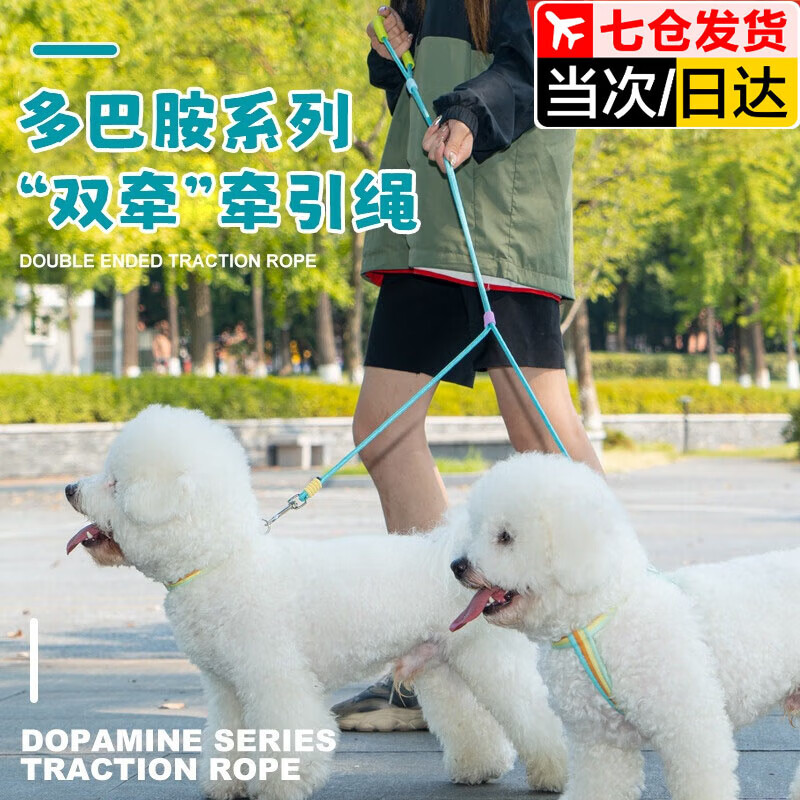 He Jiangong dog rope one to two traction rope double-headed dog rope two dogs double chain traction dog walking rope small dog two-headed rope double-headed traction rope - purple 100cm