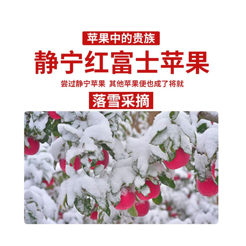 Jingning Apple, Gansu Red Fuji Apple, first-grade fruit, seasonal fresh apple, crispy and sweet, direct delivery from the source, 6 pounds, artificial selection, net weight 5 pounds, 11-12 pieces of fruit