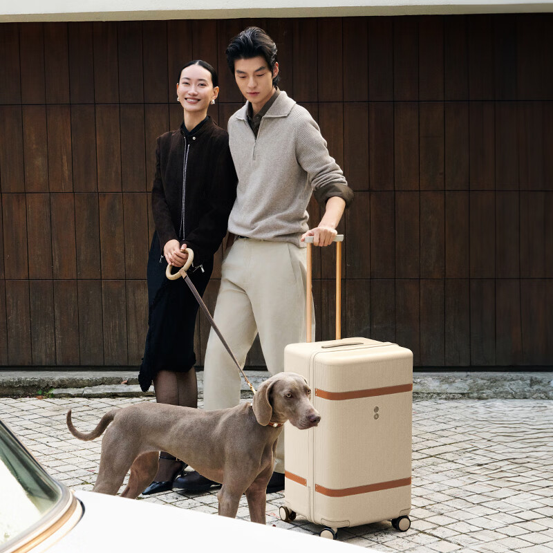 Echolac Large Capacity TRUNK Suitcase Universal Wheel Trolley Case Dynasty Retro Case PC237K Milk Tea Gray 26 Inch