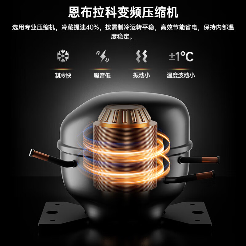 CIGARLOONG 808W red wine cabinet with constant temperature and moisturizing, large capacity stainless steel cabinet, multi-functional storage double-door humidifying cabinet, inverter compressor cabinet, red wine display cabinet, storage cabinet with anti-fog door 808W rose gold + beech wood shelf + stainless steel cabinet