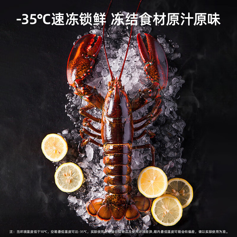 Meiling (MEILNG) 100-301L first-class large-capacity household deep-freezing quick-freezing base strong freezing energy-saving small refrigerator horizontal freezer BC/BD-201DT white 201L