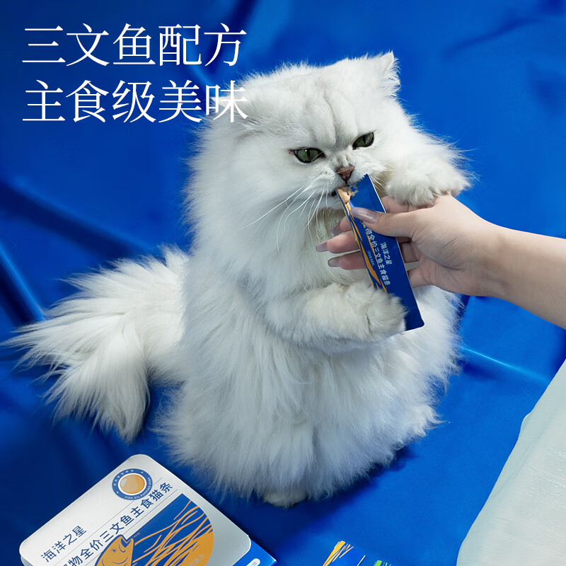 Ocean Star Salmon Staple Food Cat Strips Adult and Kitten Snacks Wet Food Explosive Beads Cat Strips 12g*10 Count