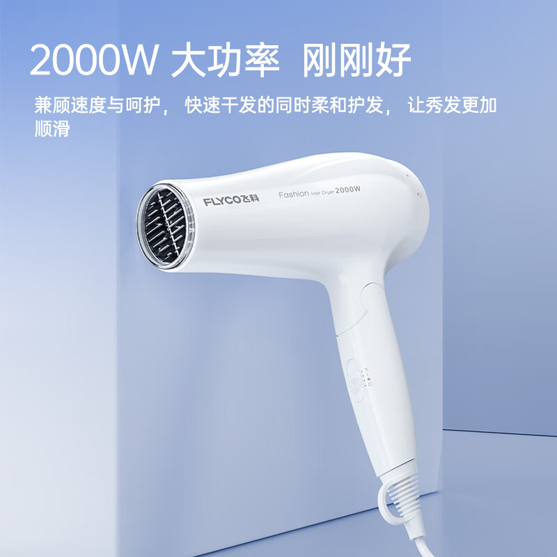 FLYCO hair dryer home hair salon high power 2000W quick drying constant temperature portable foldable white FH6232
