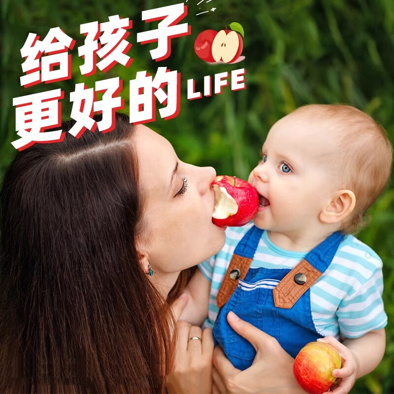 Chu Chu Authentic New Zealand Small Apple Imported Crisp Sweet Apple Fresh Fruit Bazooka Gift Box SF 3 Tubes Normal Pack About 450-500g/4pcs/tube