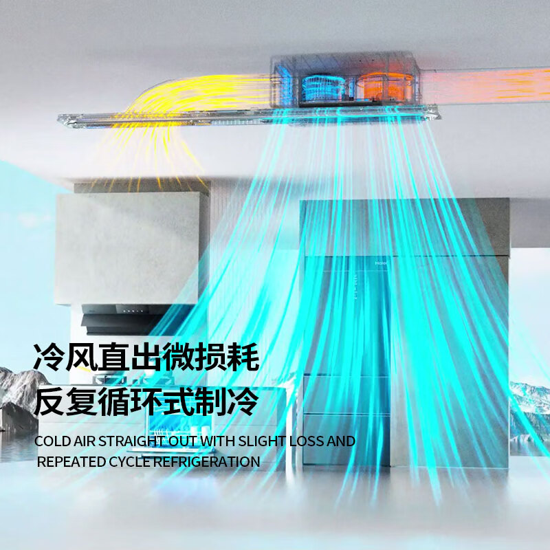 Luyuan (LVYUAN) kitchen air conditioner dedicated single cooling dehumidification cool lighting anti-oil fume ceiling embedded household ceiling hidden all-in-one machine T8/300*600 purification direct blowing air small 1 piece set self-cleaning series-2000W station type-1 hole T8 series