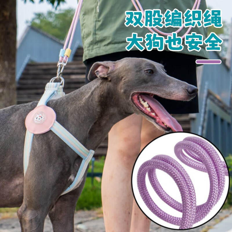 He Jiangong dog rope one to two traction rope double-headed dog rope two dogs double chain traction dog walking rope small dog two-headed rope double-headed traction rope - purple 100cm