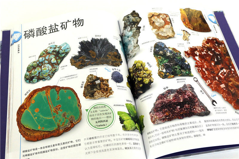 DK Children's Illustrated Encyclopedia of Rocks and Gemstones Hardcover Genuine Mineral Crystal Geology Encyclopedia Popular Science Books for Primary School Students 6-12 Years Old Exploring Earth's Treasures Introduction to Natural Science