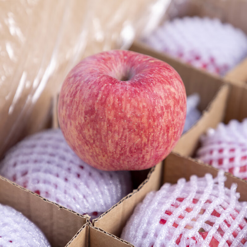 Zhu's Orange Organic Plateau Apple Red Fuji Fresh Fruit High-end Seasonal Apple Whole Box Fresh Gift Box Gift Box 16 Large Fruits for the Family, About 8 Jin in Box