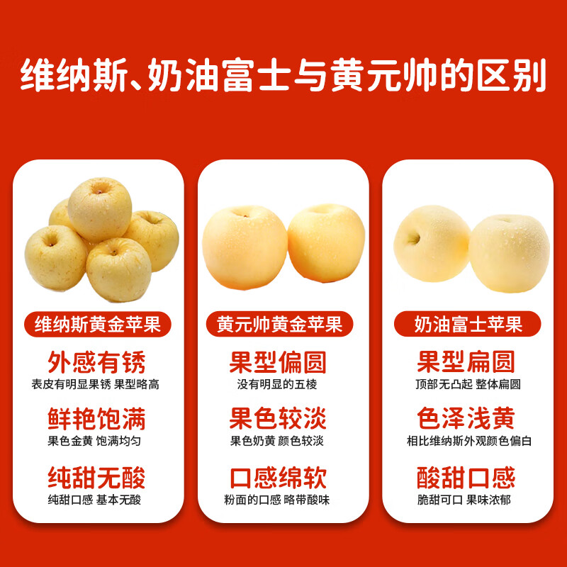 Jingxiansheng Shandong Golden Cream Fuji Ugly Apple, net weight 4.5kg, single fruit 210g+, seasonal and fresh, straight from the source