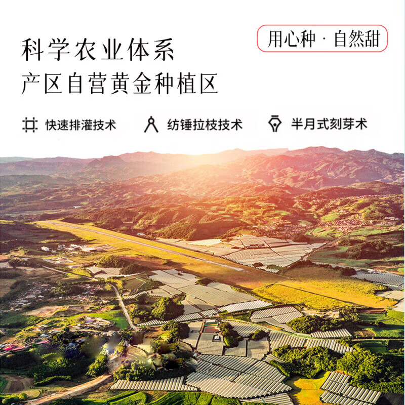 Longqiancai imported large cherries from Chile, 4J grade 5kg, optional, next-day delivery to multiple places, fresh fruit gift box, 2kg gift box, 4J grade King Fruit, fruit diameter 32-34mm