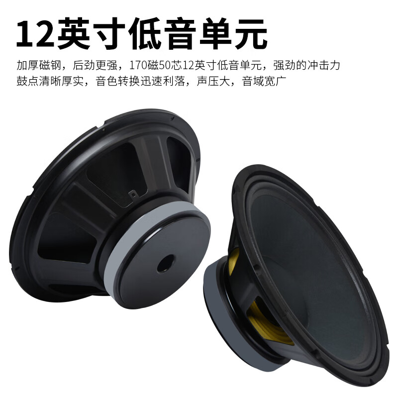 SHILE 12-inch professional conference training multi-purpose hall hotel stage banquet background music speaker single BX-112