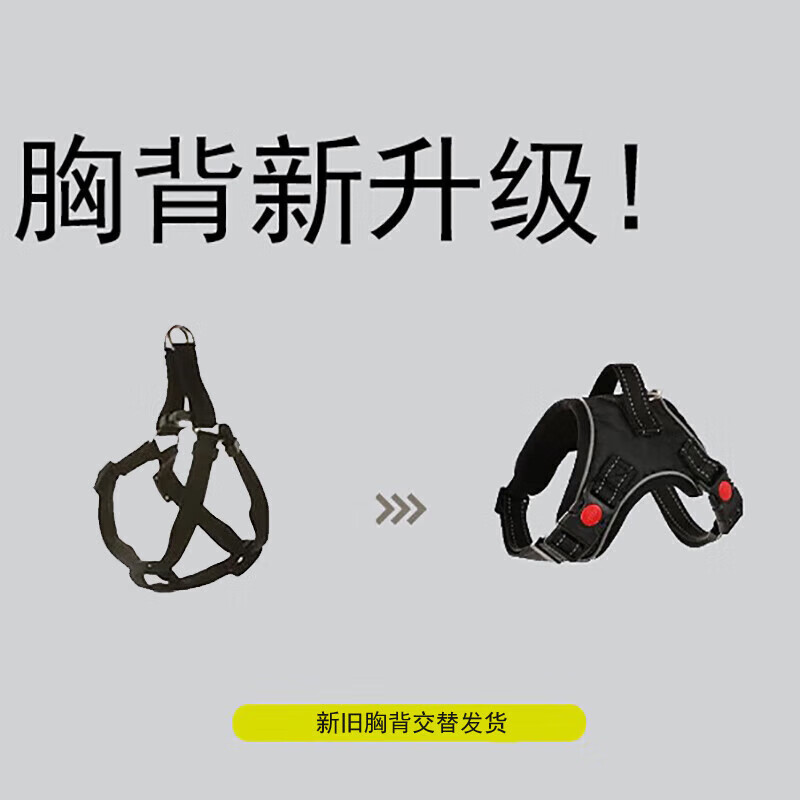 Dog leash, dog walking rope, automatic retractable, anti-breakaway, small and medium-sized dogs, Teddy, Corgi, cat pet supplies, green - best-selling model, 5 meters single leash