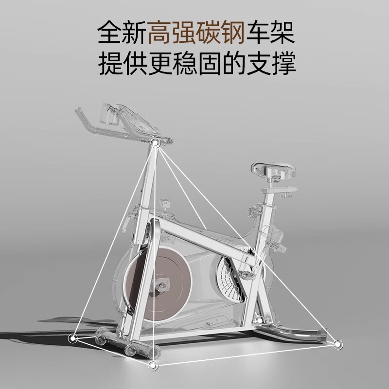 Peak Spinning Bike Home Indoor Sports Magnetic Silent Fitness Bike Weight Loss Fitness Equipment Luxury Black Physical Resistance/Bluetooth APP