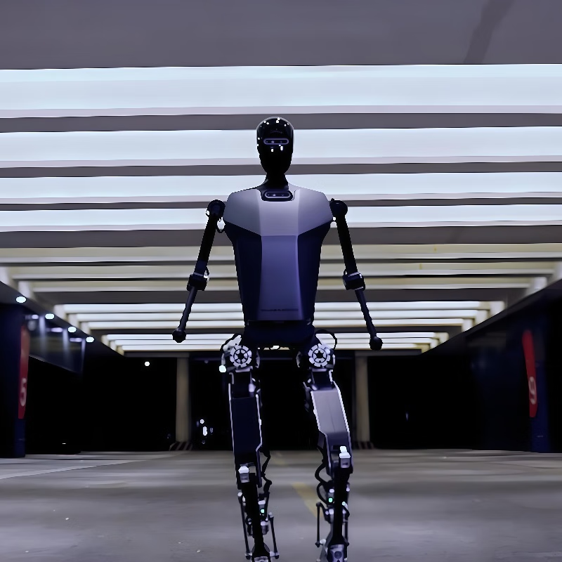 Miss Dolphin Education and Scientific Research Humanoid Robot Nanny Artificial Intelligence Teaching AI Conversation College Experimental Exhibition Hall Scenic Area Guide Commercial Performance Hotel Service Industry Explanation Robot Science Common Knowledge Intelligent Robot Waiter AI Artificial Intelligence Scientific Research Robot