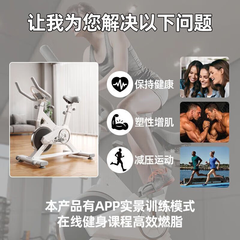 DZQ Spinning Bike Magnetic Control Exercise Bike Home Indoor Exercise Bike Home Silent Gym Exercise Equipment Pedal Simple Model - No Electronic Watch - No Heart Rate Monitoring