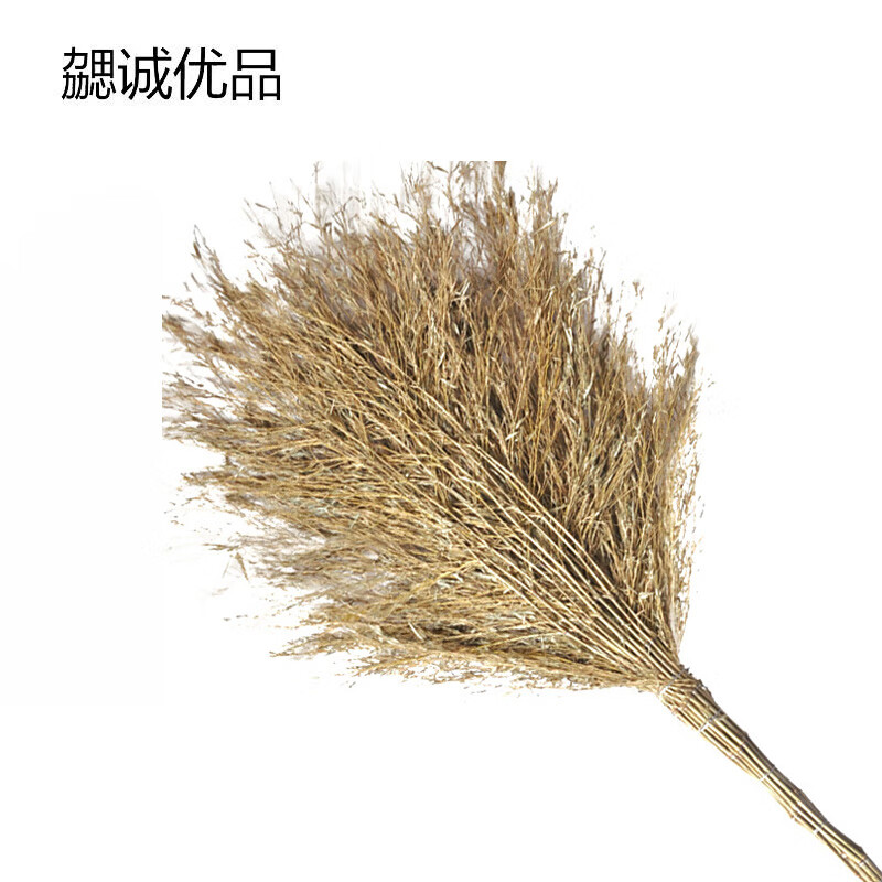 Xie Cheng Youpin Large Broom Handle 4kg