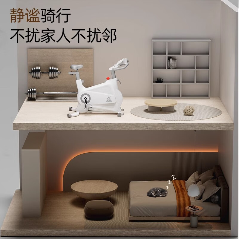 Peak Spinning Bike Home Indoor Sports Magnetic Silent Fitness Bike Weight Loss Fitness Equipment Luxury Black Physical Resistance/Bluetooth APP